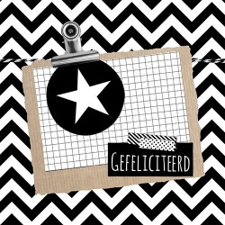 stoere verjaardagskaarten| Snel en makkelijk online bestellen