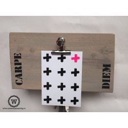 Sleutelkastje carpe diem