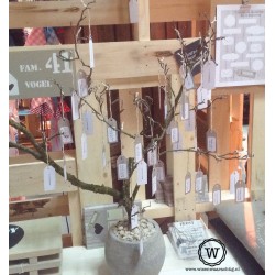 Kaarten en kadolabels